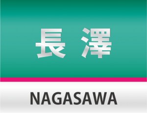 ちょっとE5系風カラーリングのデザイン表札