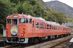 どつぼ列車・たらぼけ号ヘッドマーク装着列車